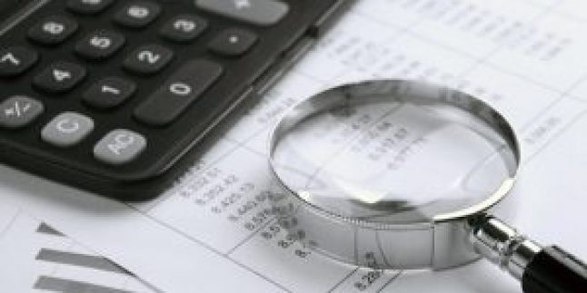 VERGİ DENETİMLERİ